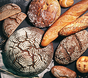 �ٰ�Ʈ, ȣ�л� �� �������� ����